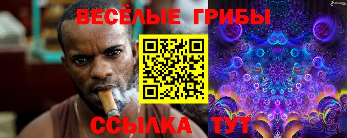 Псилоцибиновые грибы Psilocybine cubensis Кизилюрт