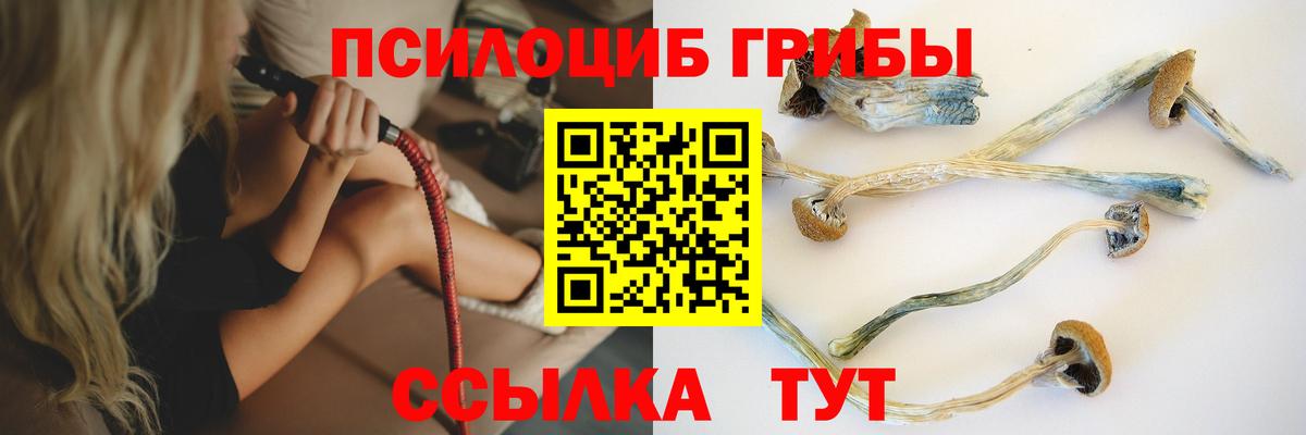 Кизилюрт  Псилоцибиновые грибы Psilocybe  Вход с VPN 